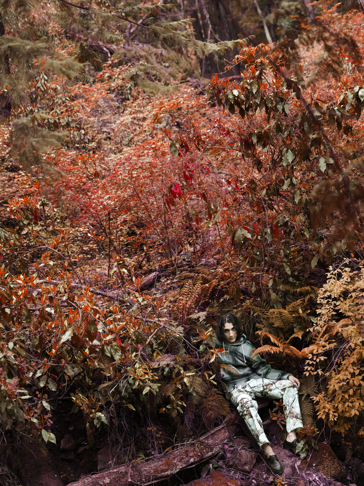Little Yarmouth EP. 2. A figure rests beneath a canopy of orange and red leaves.