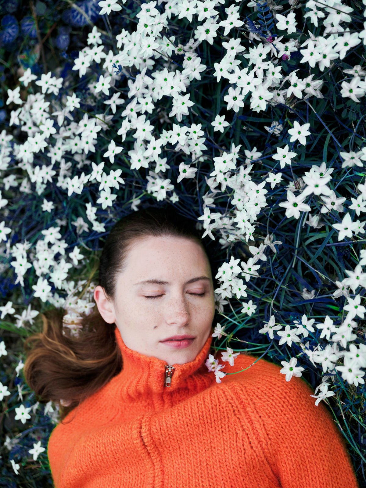 Little Yarmouth EP. 2. An orange knit framed by a bed of white flowers.