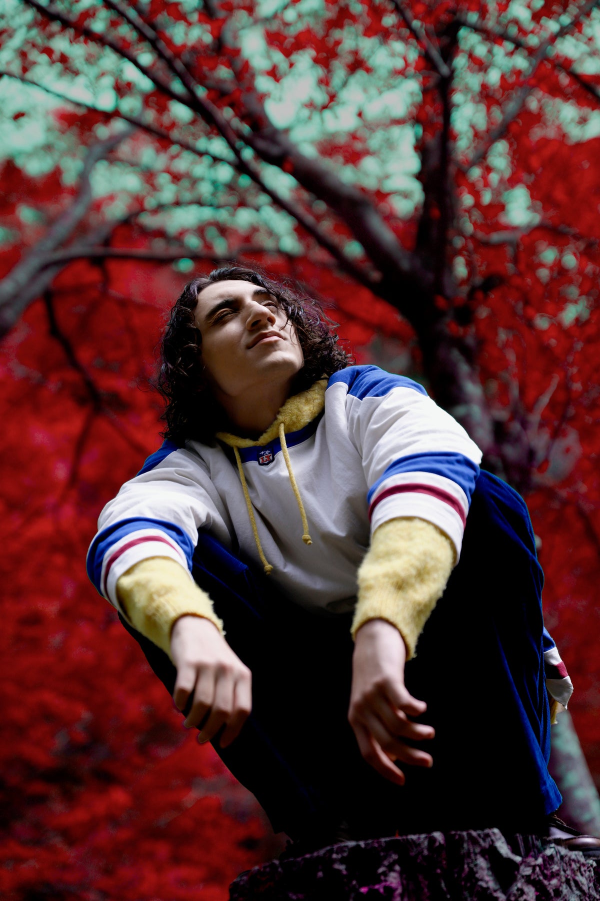 Little Yarmouth EP. 2. A blue and white hooded top beneath bright red leaves.