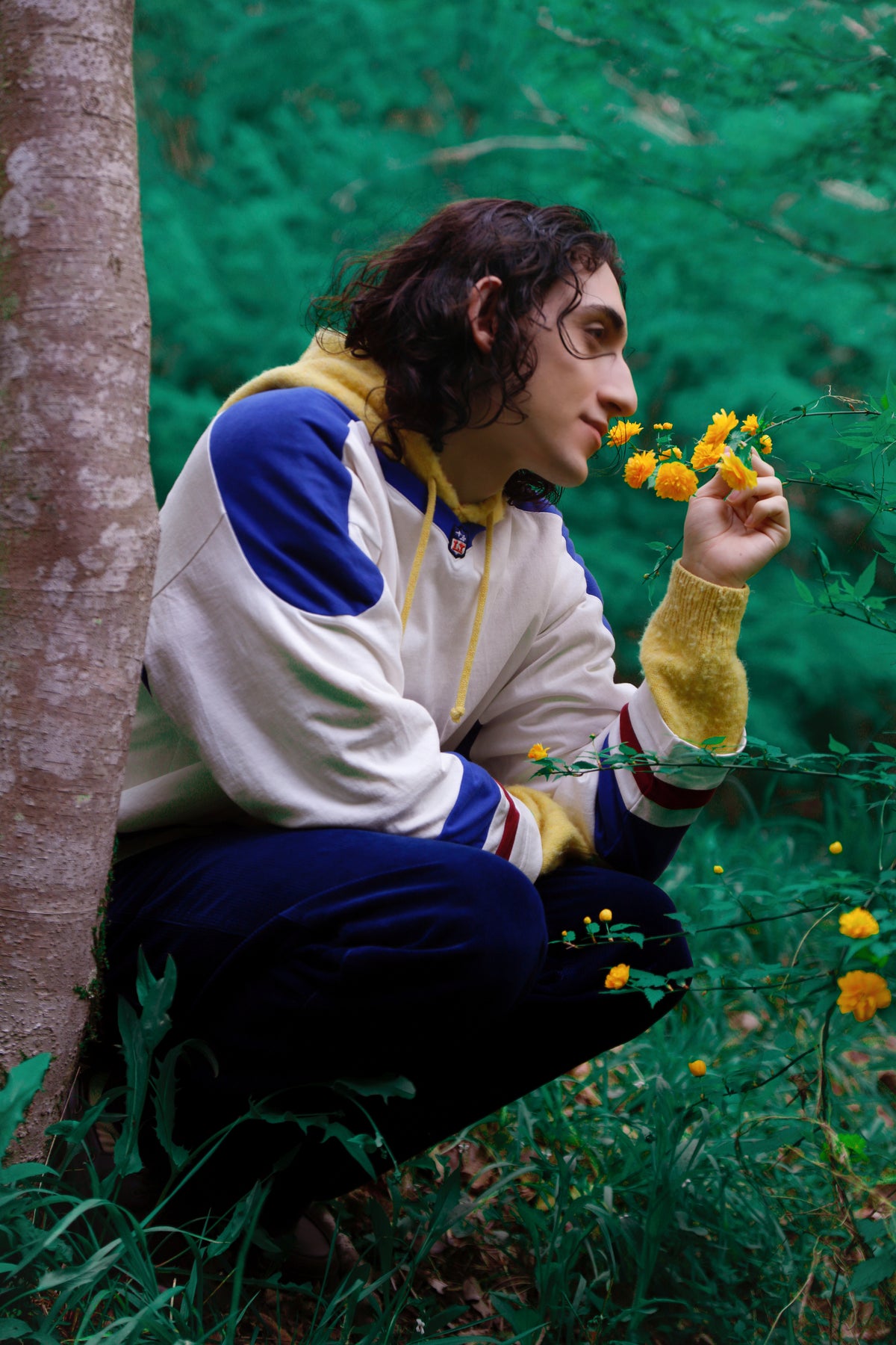 Little Yarmouth EP. 2. A blue and white hooded top with yellow sleeves beside vivid green leaves.